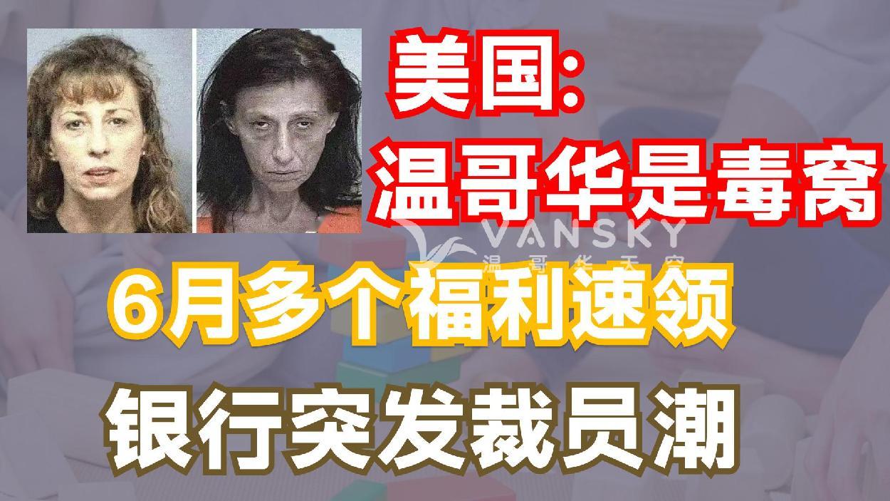 通用的占位符缩略图